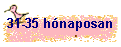 31-35 hónaposan