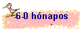 -6-0 h�napos