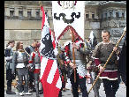 Elvonuls