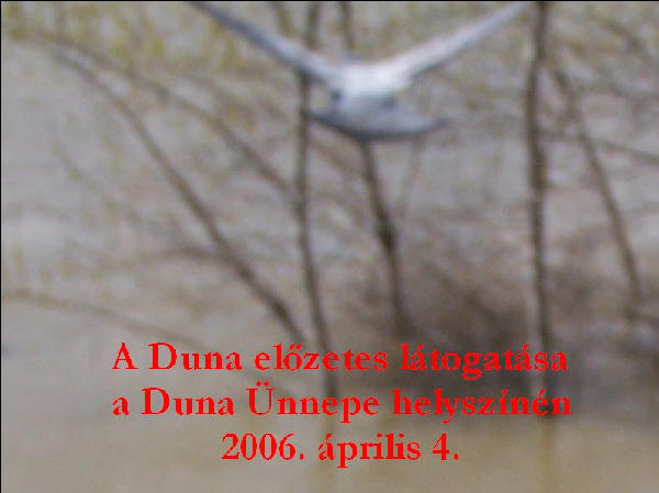 A Duna elzetes ltogatsa a Duna nnepe helysznn 2006. prilis 4.