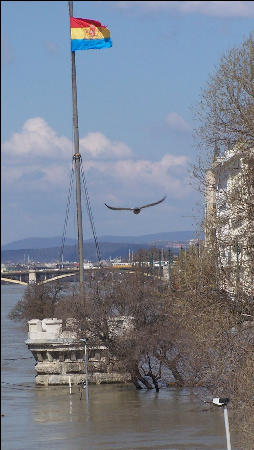 Ha turul lenne, szebb lenne
