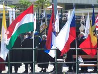 Zászlóerd a Duna partján