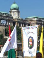 A megemlékezés zászlai - 1