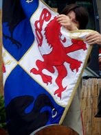 Hunyadi zászlaja