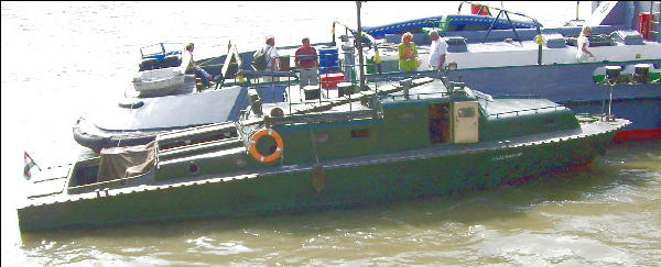 A nagy testvr mellett