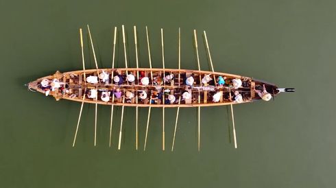 Danuvina Alacris