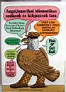 2310_Angol-amerikai idiomatikus szólások és kifejezések tára