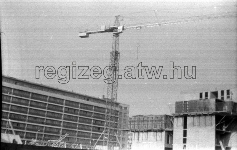 �p�l� csipkeh�z