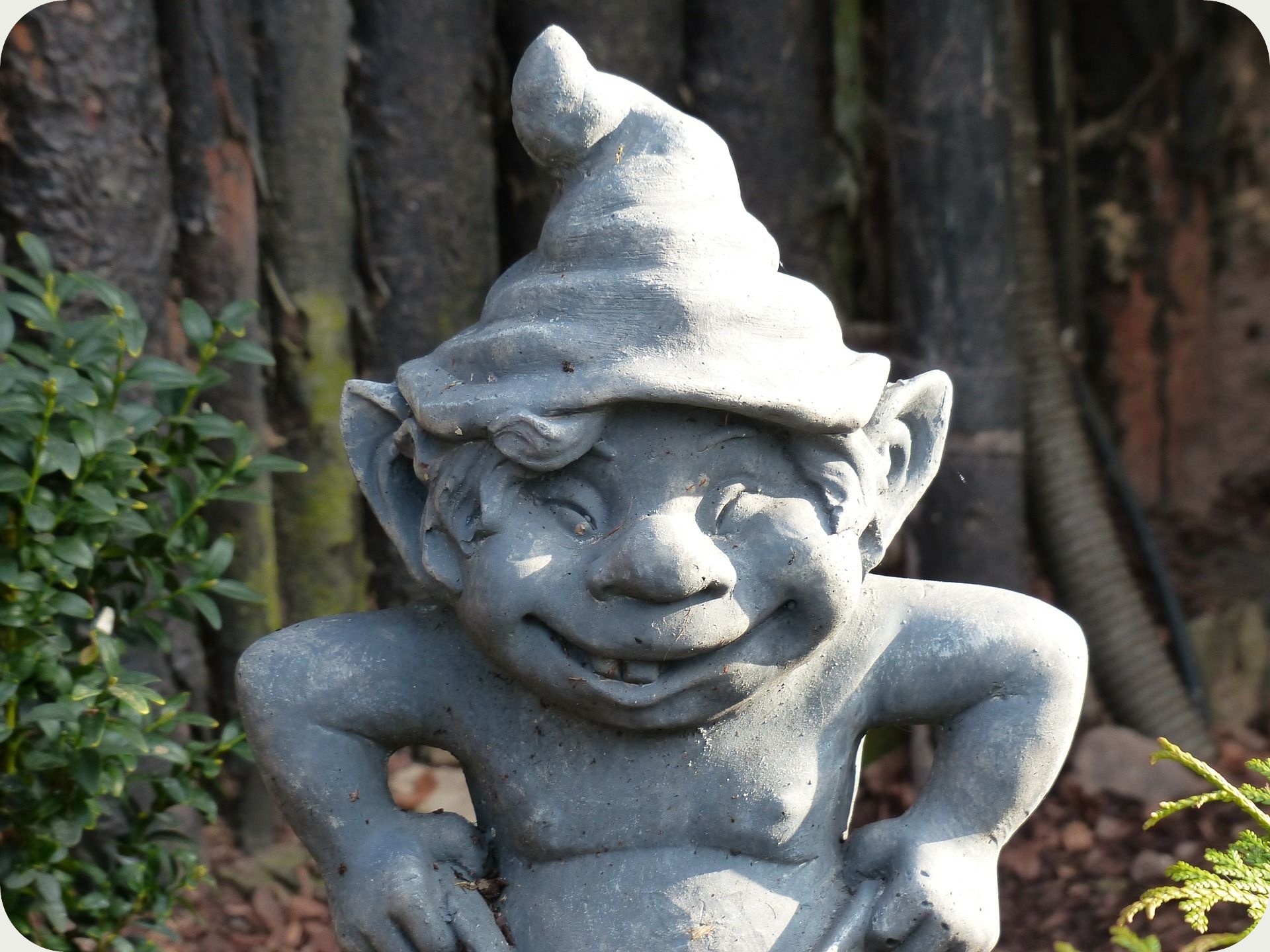 PetiMano