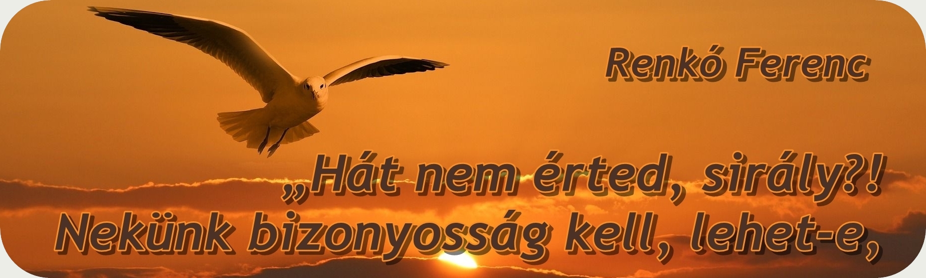 A sirály és az emberek