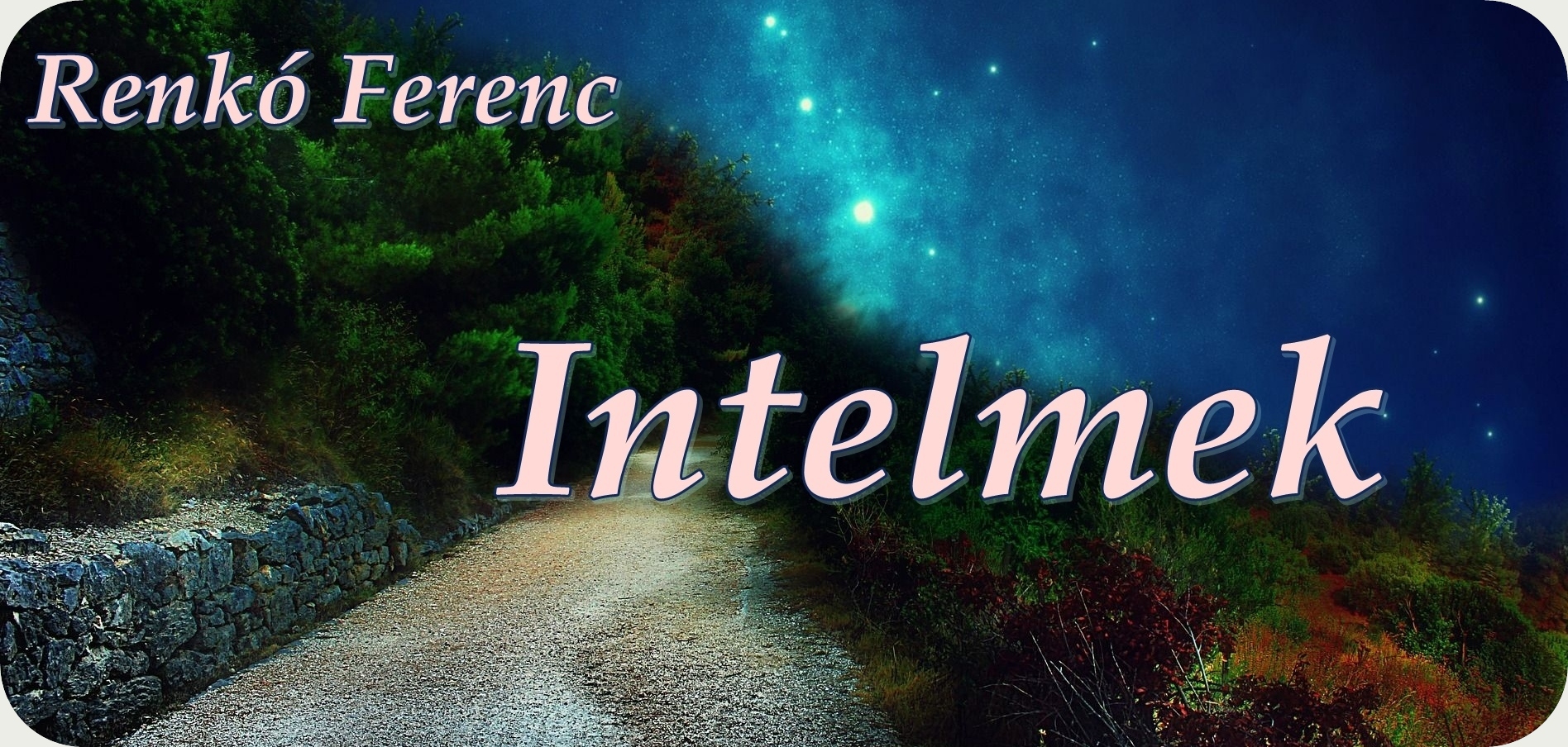Intelmek