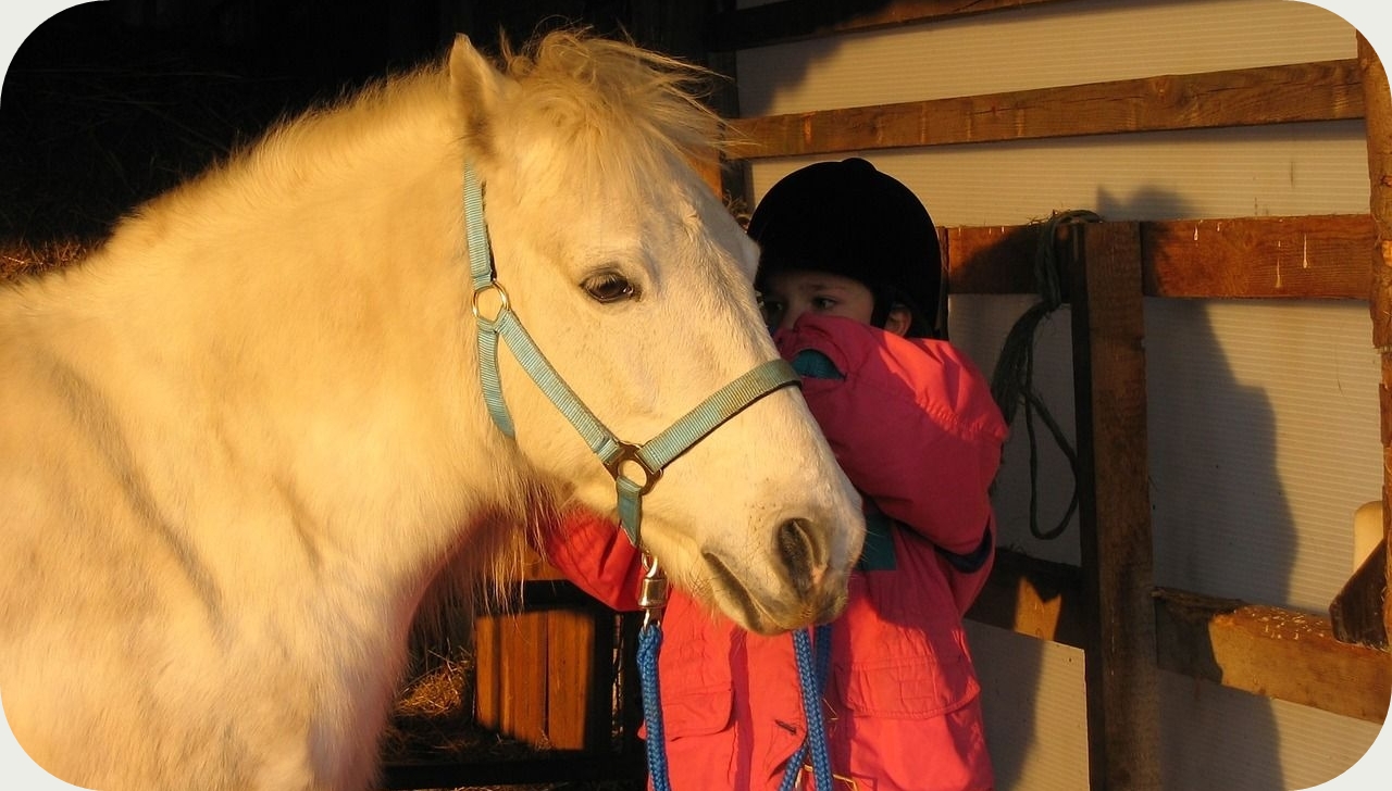 Pannipanka pónilova