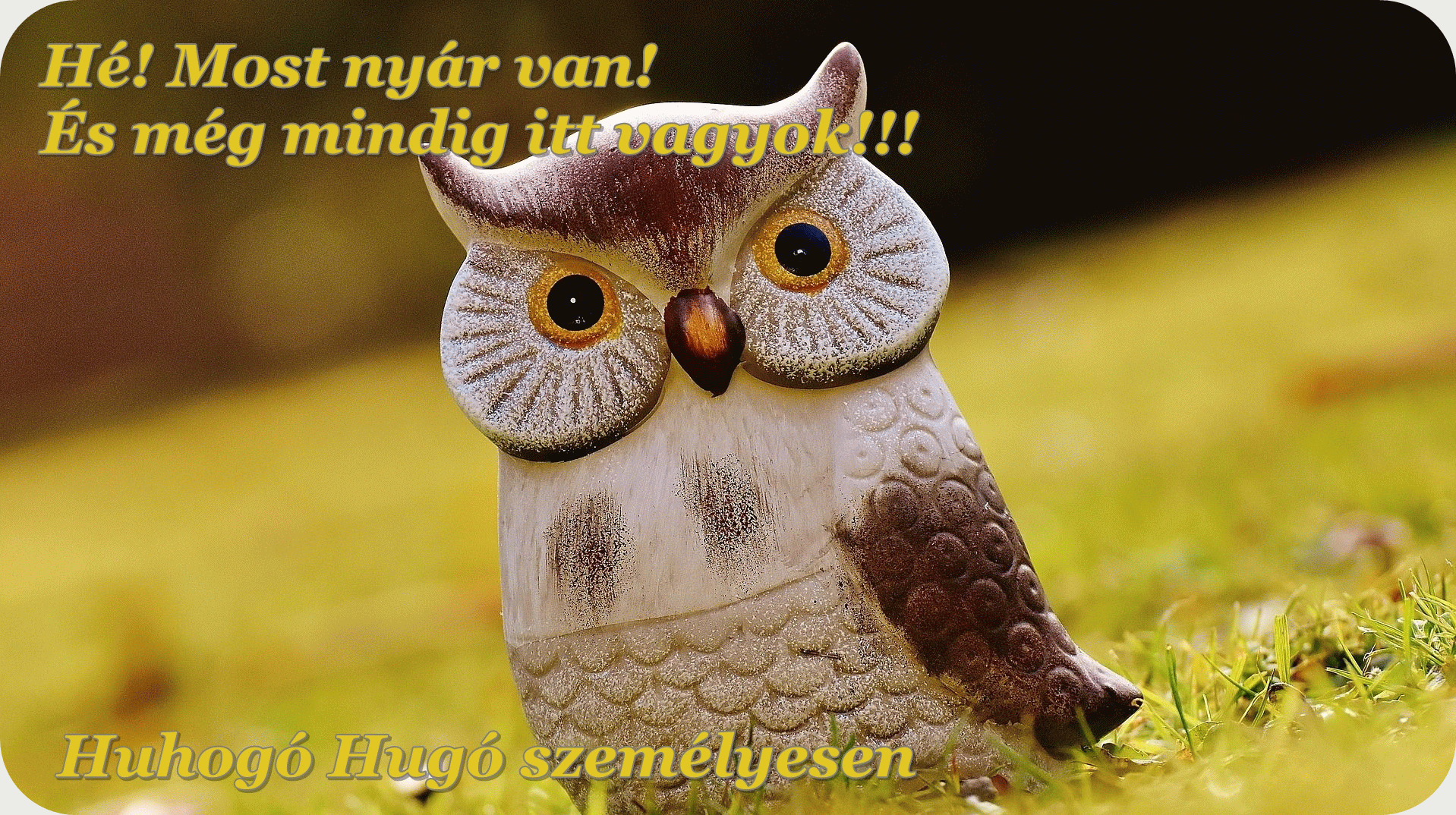 Nyár