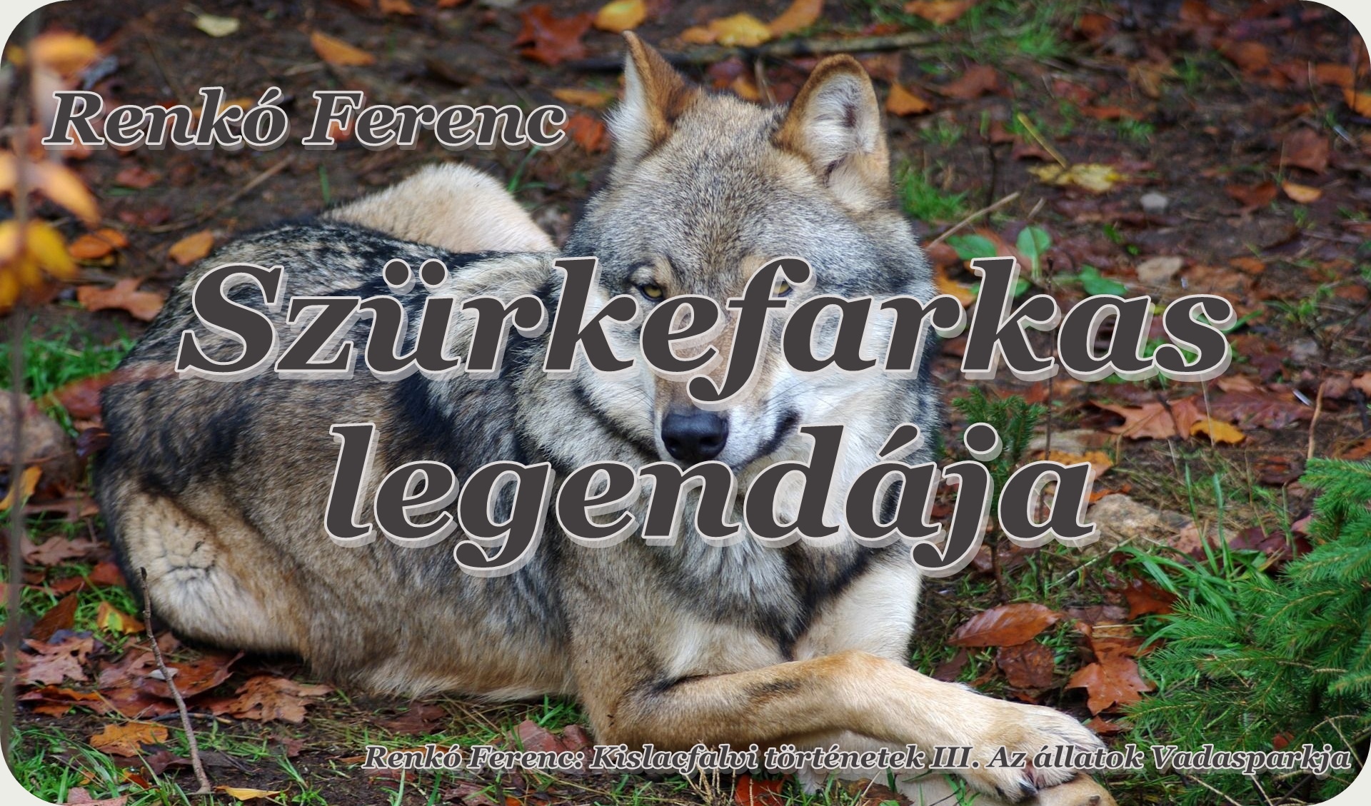 Az utolsó oldal előtt