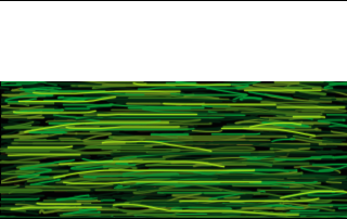 Lers: Lers: Lers: G:\Meadow\Meadow Tutorial 1_elemei\1.png