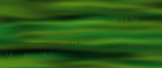 Lers: Lers: Lers: G:\Meadow\Meadow Tutorial 1_elemei\3.png