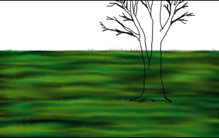 Lers: Lers: Lers: G:\Meadow\Meadow Tutorial 1_elemei\5.png