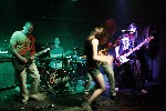 2010.12.11. Vadvir�g t�nch�z