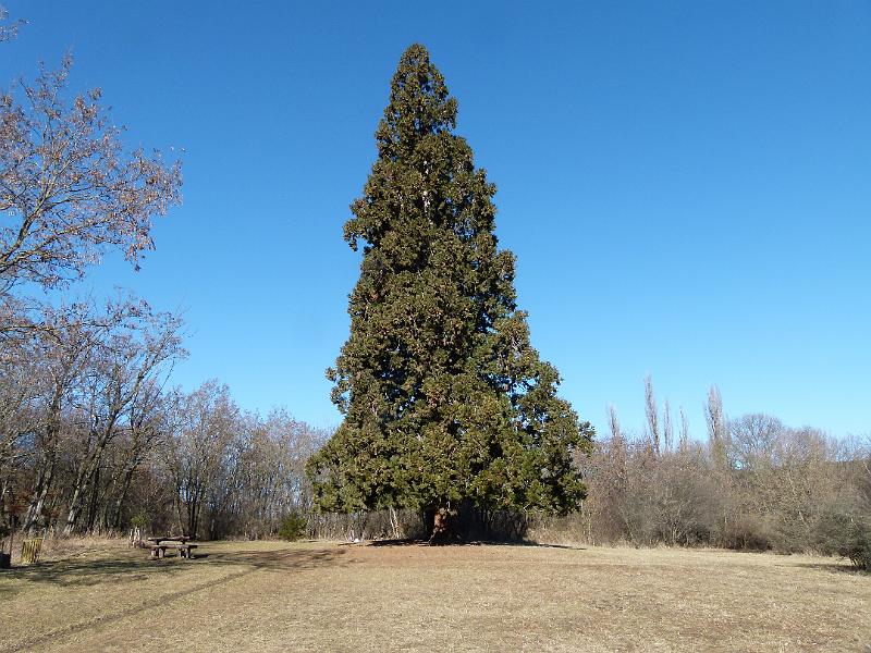 L1390050.JPG