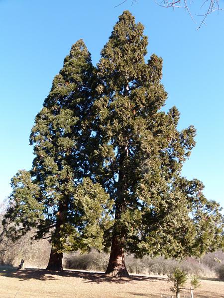 L1390066.JPG