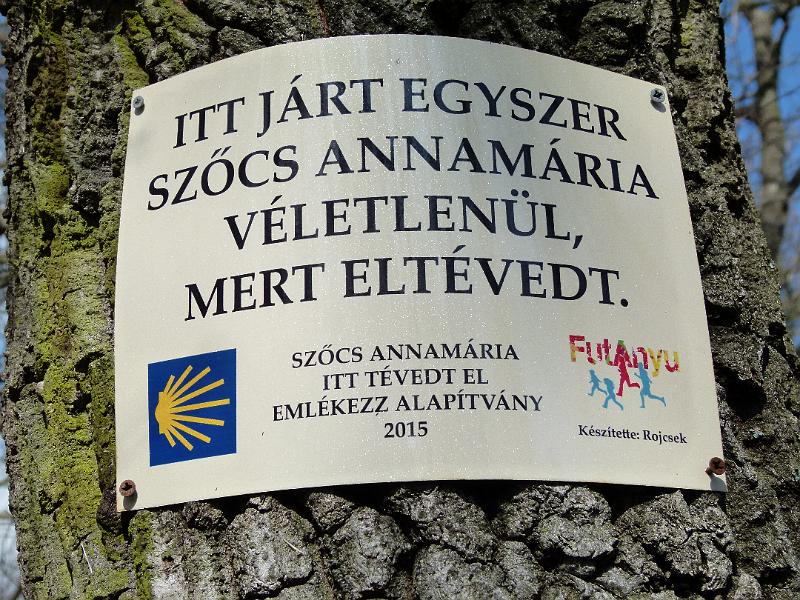 L1390139.JPG
