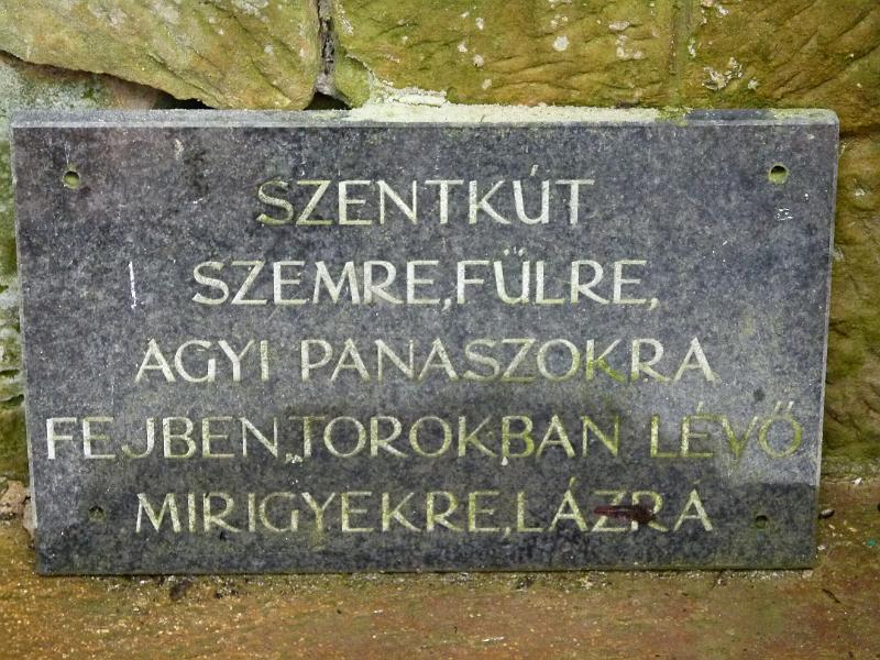 L1390171.JPG