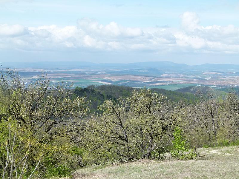 L1390408.JPG