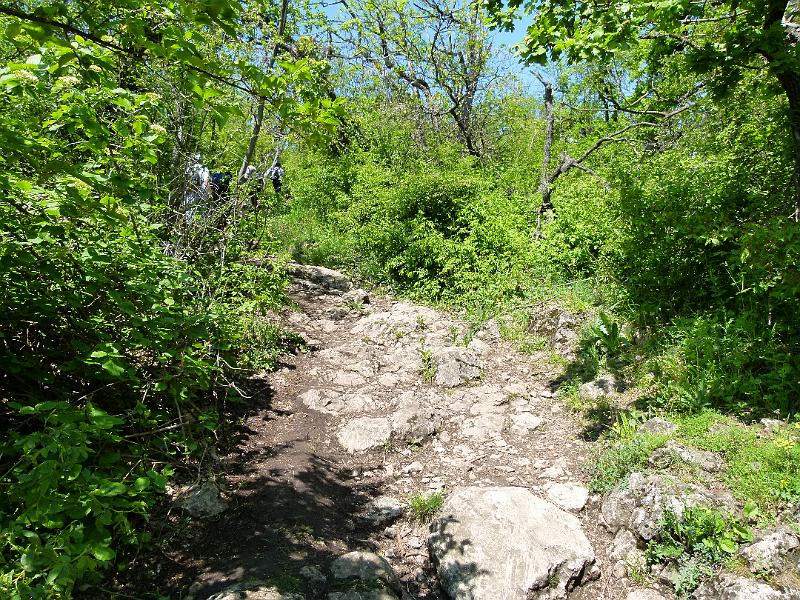 L1390596.JPG