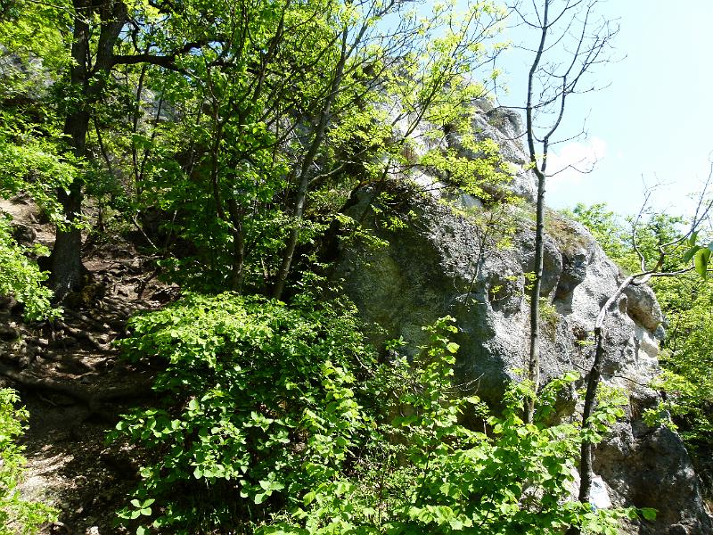 L1390638.JPG