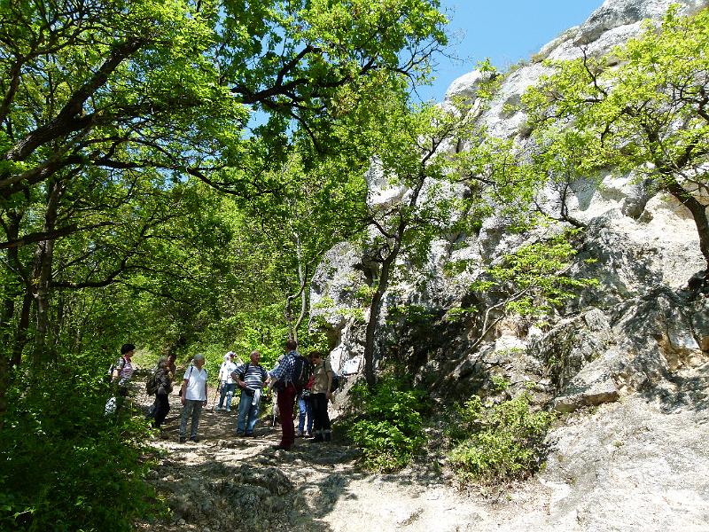 L1390644.JPG
