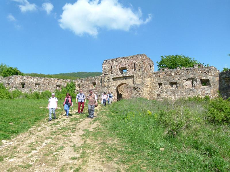 L1390684.JPG