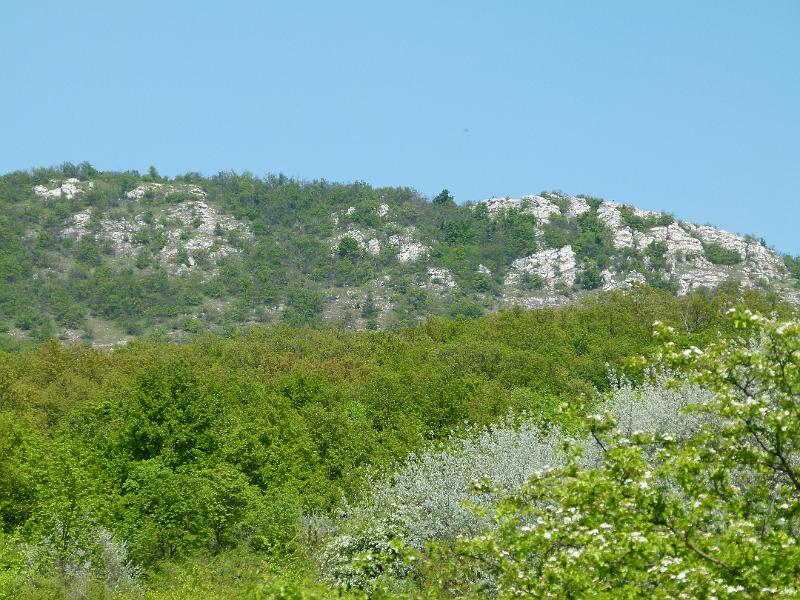 L1390690.JPG