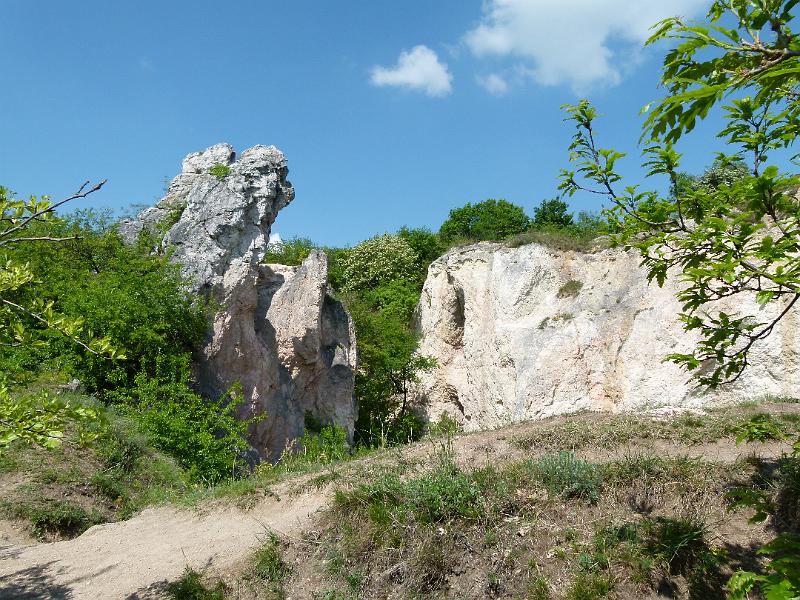 L1390701.JPG