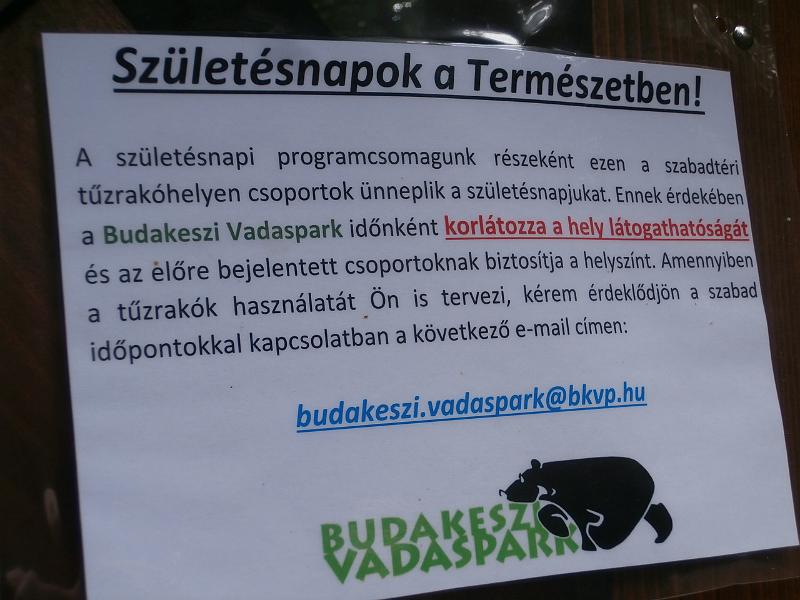 P6171162.JPG
