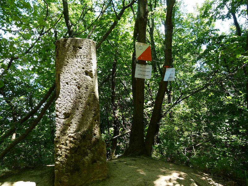 L1390861.JPG