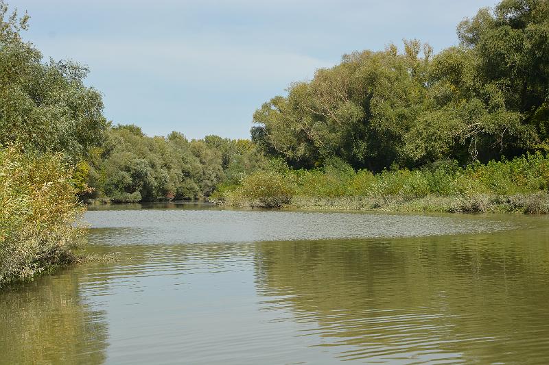DSC_4274.JPG