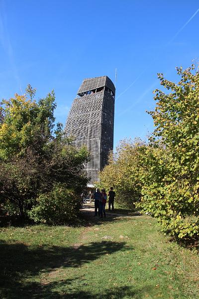 IMG_6706_resize.JPG