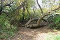 IMG_6717_resize