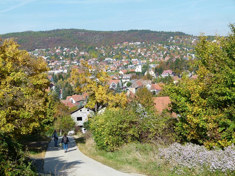 L1400077.JPG