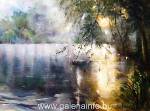 Fnyek - 30x40 - olaj