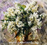 Fehr orgona - 40x40 - olaj