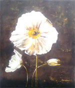 Fehr pipacs 24x30