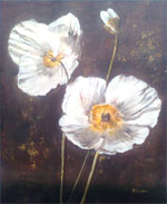 Fehr pipacs 24x30