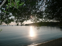 Rovinj
