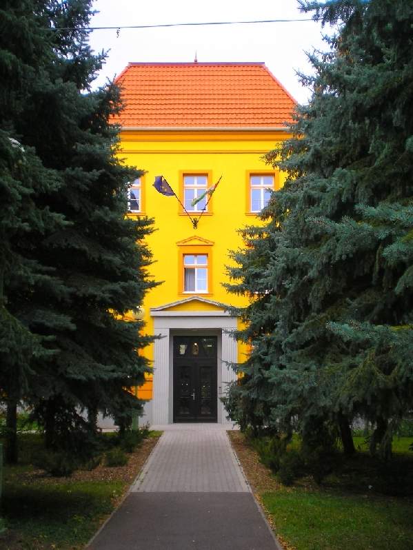 vissza