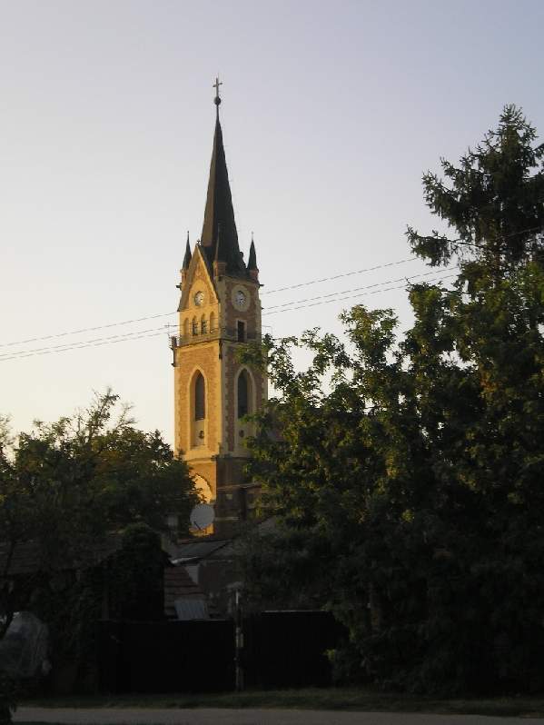 vissza