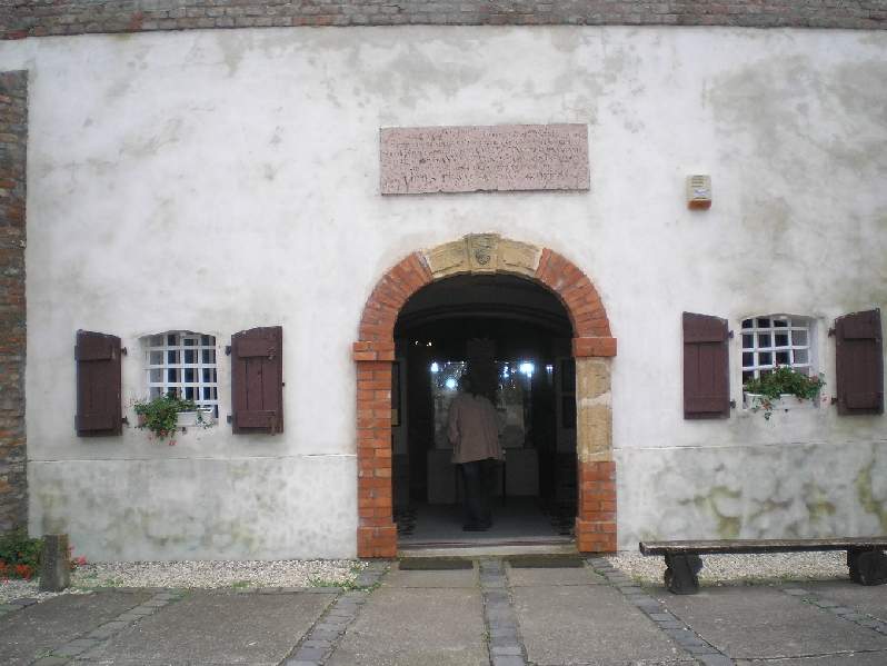 vissza