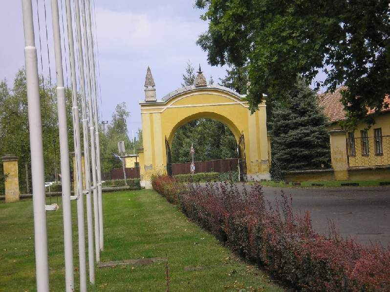 vissza