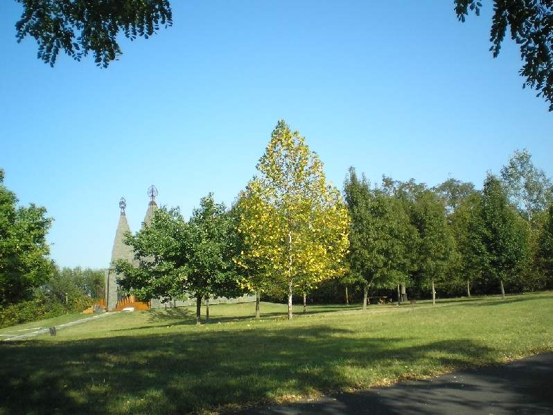 vissza