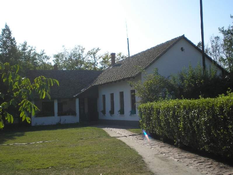 vissza